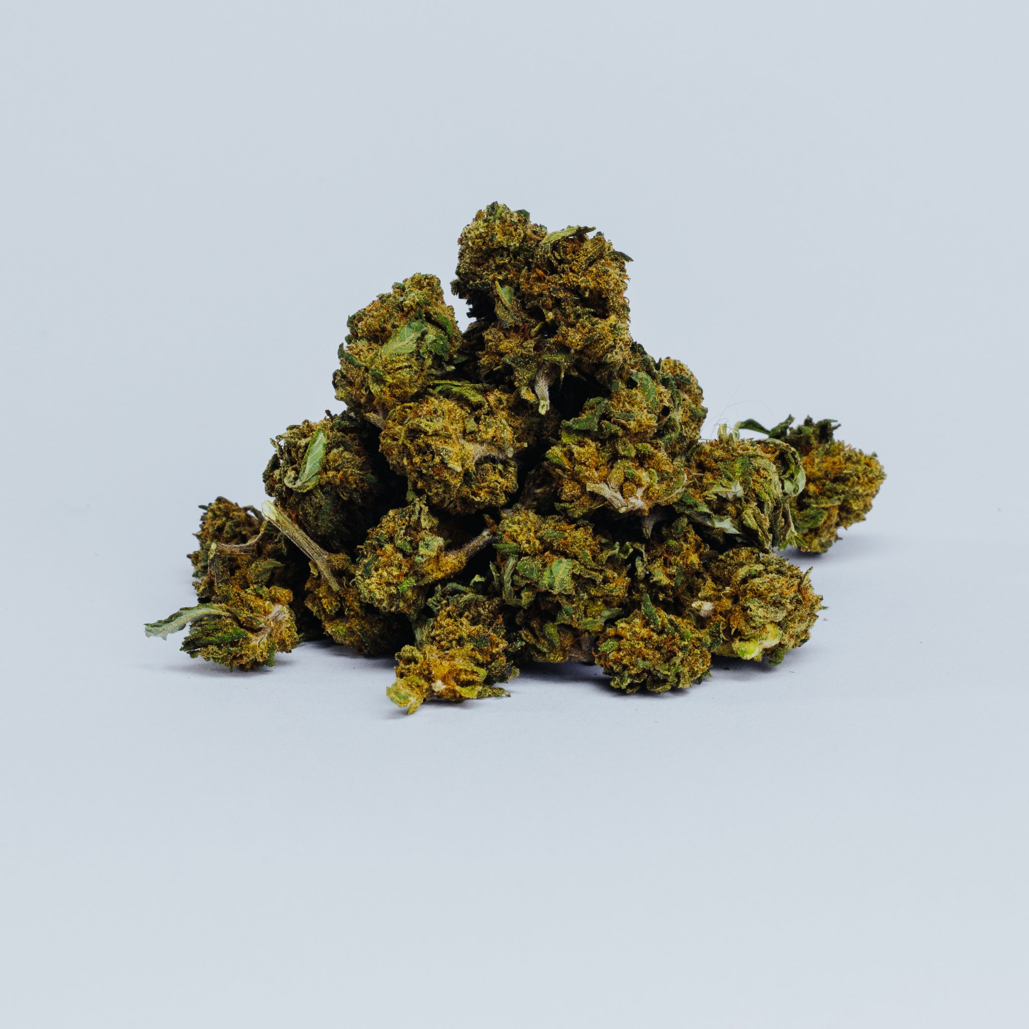 Fleurs de BubbleGum cbd en small bud