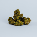 Fleurs de Jack-Herer cbd suisse